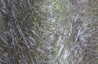 Coxbench fibreglass roof work